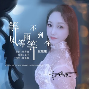 等风等雨等不到你