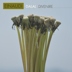 Einaudi: Divenire