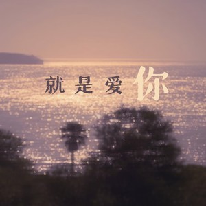 就是爱你 (甜美纯享)