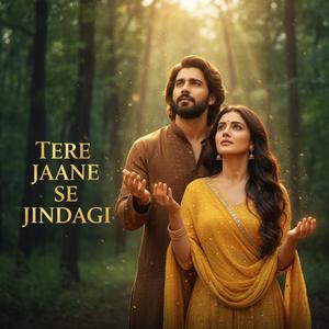 TERE JAANE se JINDAGI