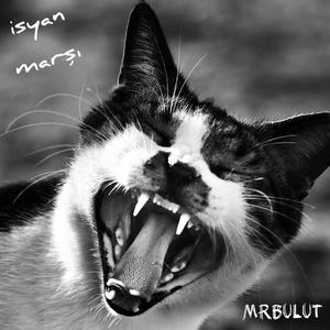 İsyan Marşı (Radio Edit)