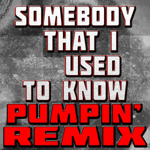 Somebody That I Used to Know (Pumpin' Remix)