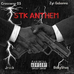 STK Anthem (feat. Crossway D3, Jrock & Babyshaq) (Explicit)