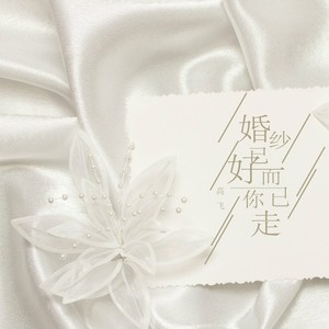 婚纱已好而你已走