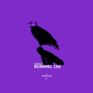 Bummel 166