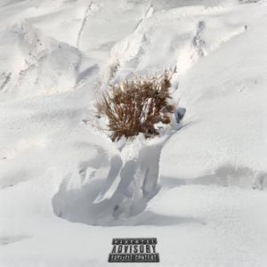 Dear Winter (feat. DJ Delarius) (Explicit)