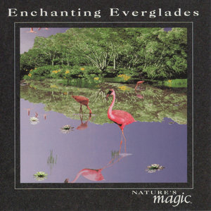 Enchanting Everglades