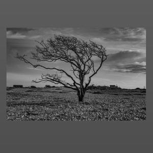 Dead inside (Explicit)