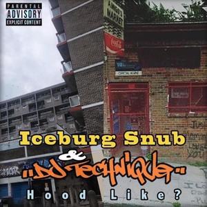 HOOD LIKE ? (feat. DJ TECHNIQUE) (Explicit)