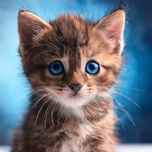 Una Suave Mirada Hacia La Distancia