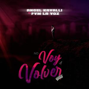 No voy a volver(feat. FVM & Wilex King)