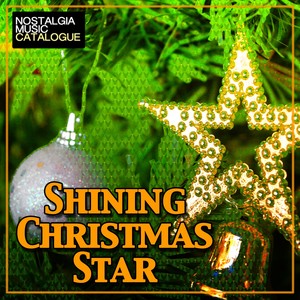 Shining Christmas Star