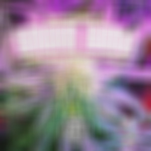 Häxa - Smoke **** (Explicit)