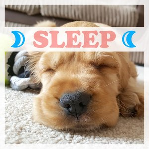 Sleep: Music for Sleeping, Soothing Piano for Babies, Relaxation, Sleep Aid, Lullaby, Bedtime, Medit