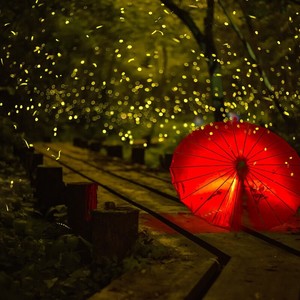 不爱吃汉堡 (Demo)