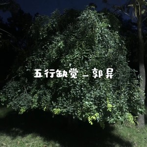 五行缺觉 (伴奏)