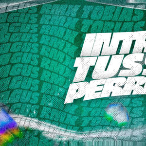 Intro Tussi + Perreo (feat. TOBIAS RMX|Explicit)