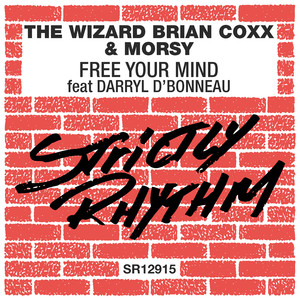 Free Your Mind (feat. Darryl D'Bonneau) (Afro Soul Mix)