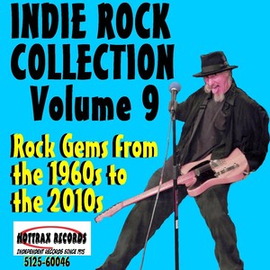 Indie Rock Collection, Vol. 9: Rock Gems from the 1960s to the 2010s