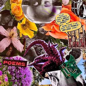 A Wondering Symphony's Silence