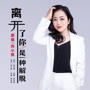 离开了你是一种解脱 (DJ版伴奏)