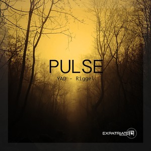 Pulse