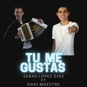 Tú me Gustas (feat. Dani Maestre)