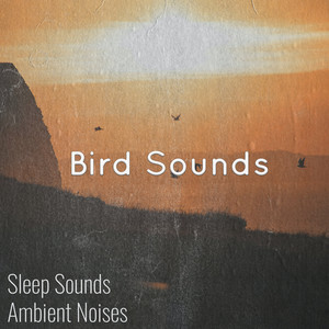 Birds Singing