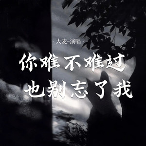 你难不难过也别忘了我封面