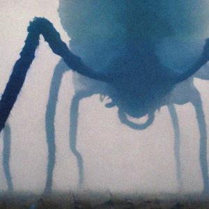 externalism. (slowed)