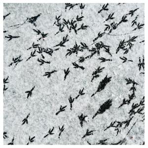 Spuren im Schnee (feat. Wenzel Benn)