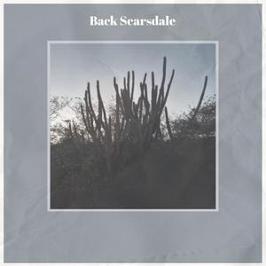 Back Scarsdale