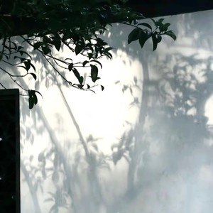 心爱 (微醺版)