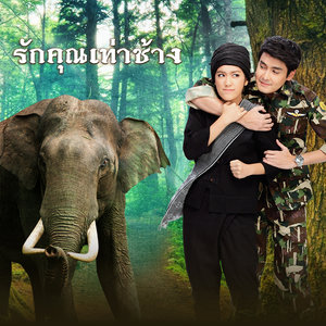 ost.รักคุณเท่าช้าง