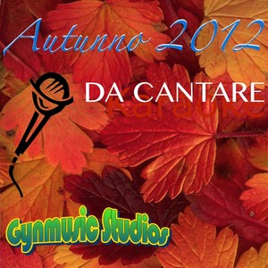 Skyfall (Karaoke Version Originally Performed By Adele)