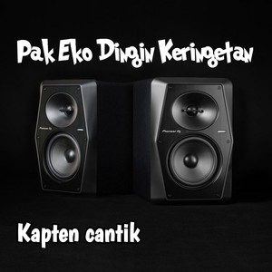 Pak Eko Dingin Keringetan