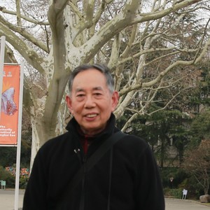 全民广场舞 鸿雁归来的地方