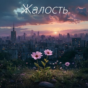 Жалость