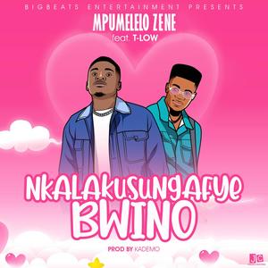 Nkalakusungafye Bwino (feat. T Low) (Explicit)