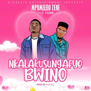 Nkalakusungafye Bwino (feat. T Low) [Explicit]