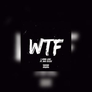 Wtf I Look Like Remix (feat. Big Cezze) [Explicit]