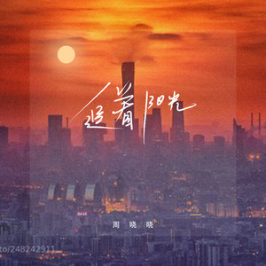 追着阳光