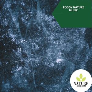 Foggy Nature Music