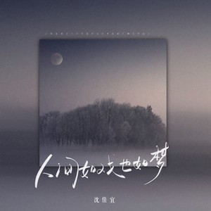 人间如戏也如梦 (DJ沈念版)