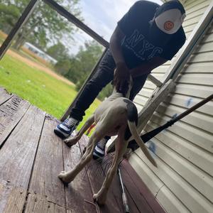 Notre Dame (Explicit)