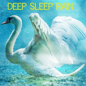 Deep Sleep Rain