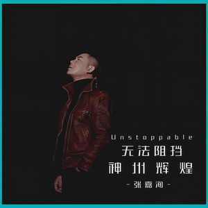 无法阻挡封面