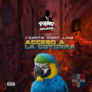 Acceso a la Cotorra (feat. Link) [Explicit]