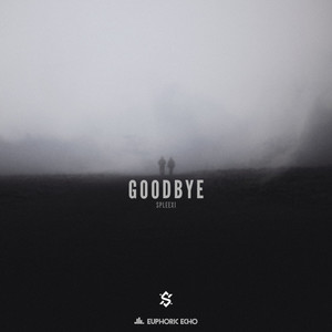 Goodbye