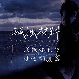 孤独材料 (我被你电住让他们羡慕)封面